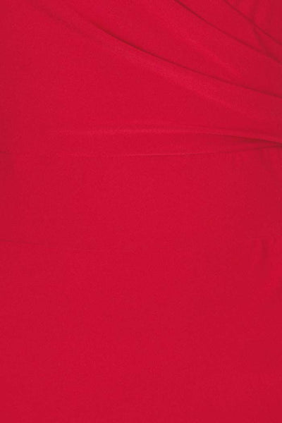 elsie red dress swatch