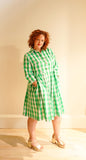 Alice Shirt Dress in Green Gingham