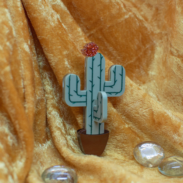 sugar and vice cactus brooch plant collection